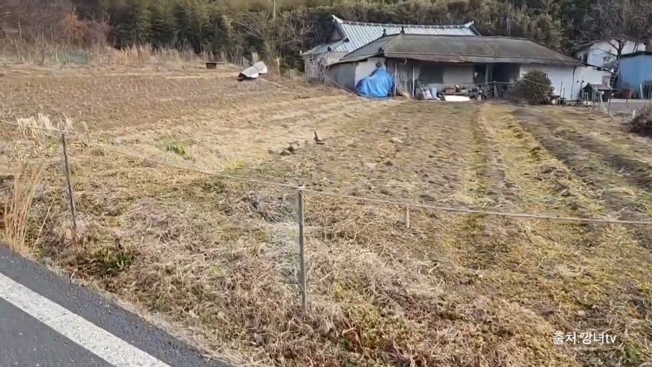 장동혁 창고를 시골집이라 속인듯? (출처:깡녀tv )