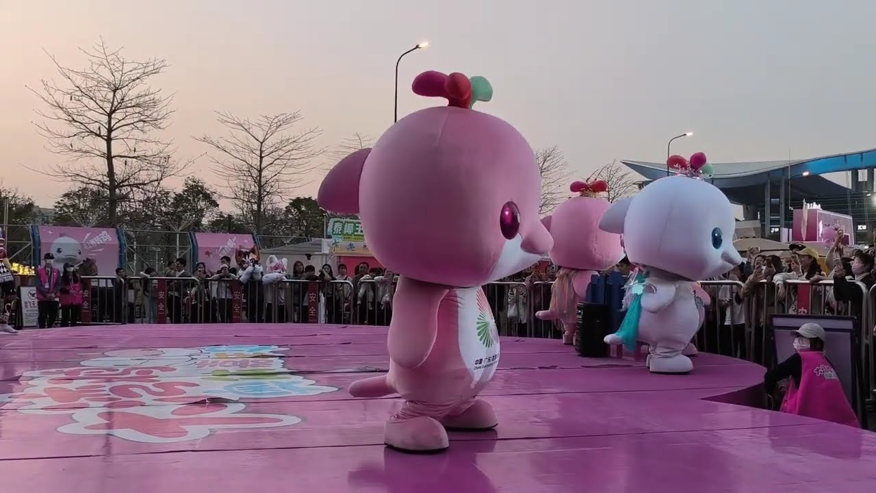 跳舞鸡和功夫鸡轮翻献艺