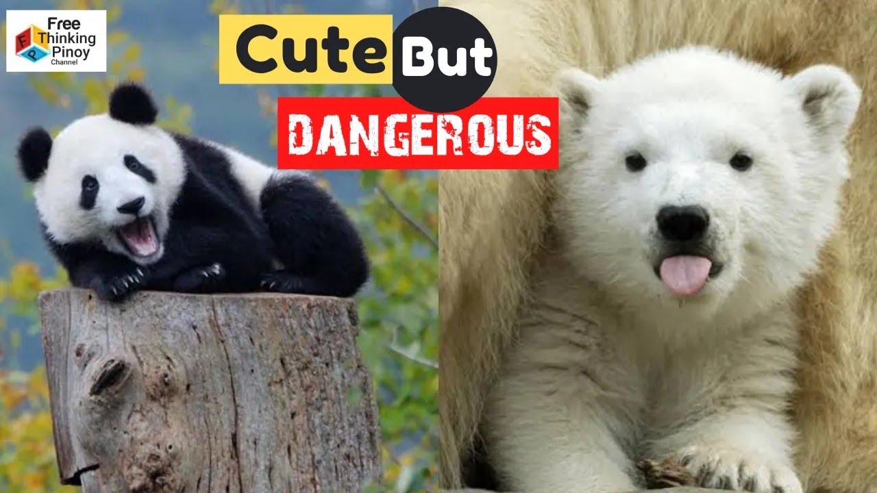 10 CUTE BABY ANIMALS NA KAILANGAN MONG LAYUAN KAPAG MALAKI NA