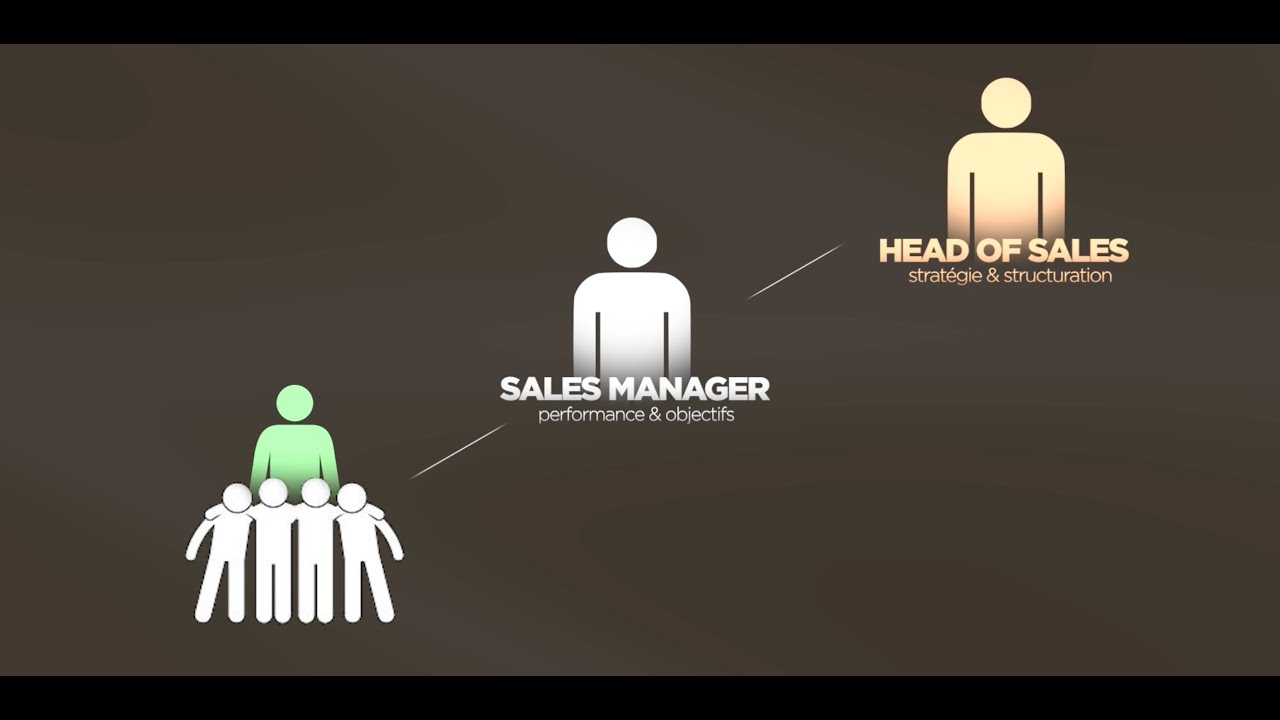 Le Guide Complet pour Structurer son &Eacute;quipe Sales (Head of Sales, Sales Manager, Team Lead...)