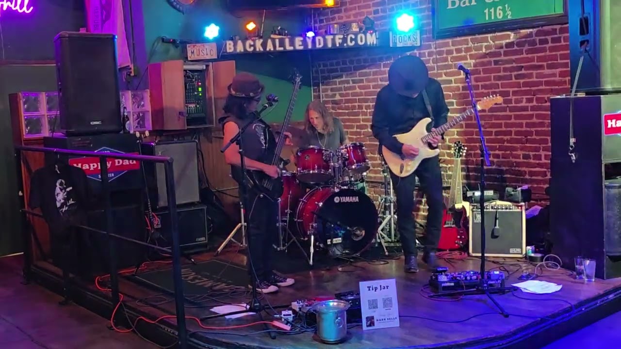 John Avila's  rendition of “Almost Cut My Hair.”  by  Crosby, Stills, Nash & Young