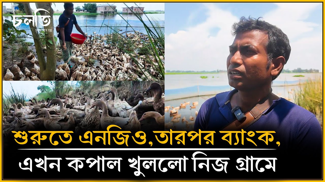 ব্যাংক ছেড়ে হাঁসের খামার, দিনে ৫০০০/৬০০০ টাকা রোজগার | চলতি