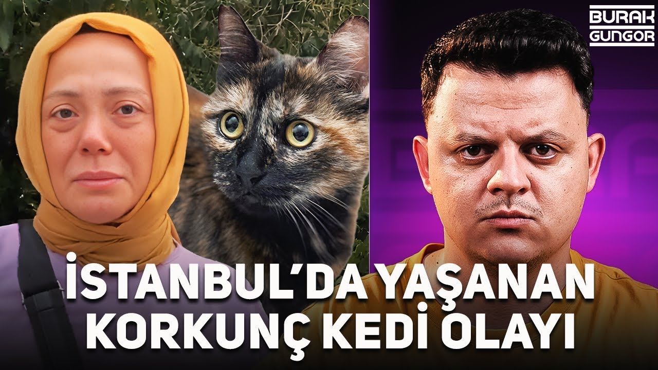 İstanbul'da Yaşanan Korkunç Kedi Olayı - İNSANLIĞIN SONU