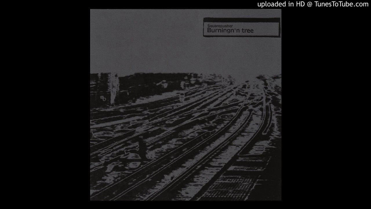Squarepusher • Eviscerate (Version)
