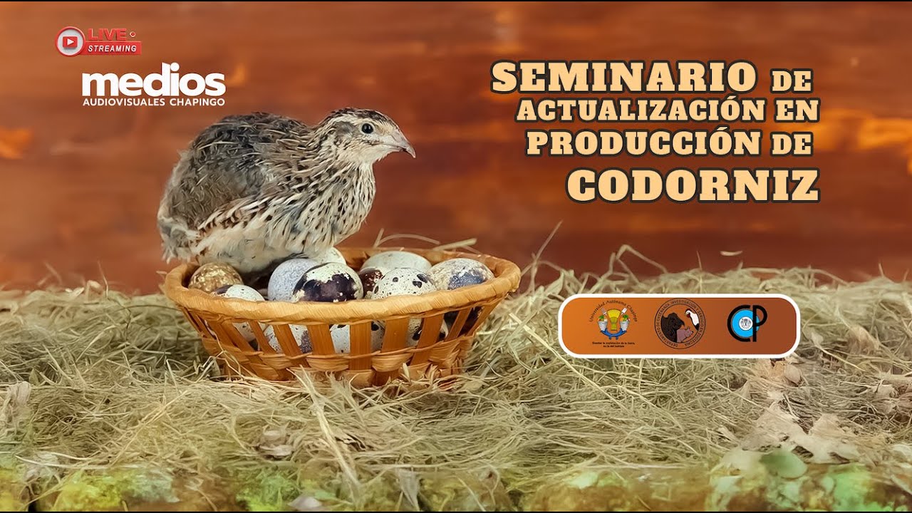 Seminario de Actualización en Producción de Codorniz 2025