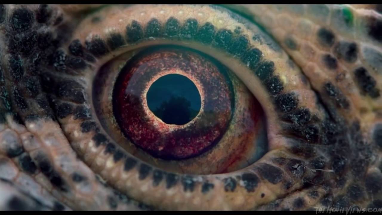 The Voyage of Time- Official Trailer