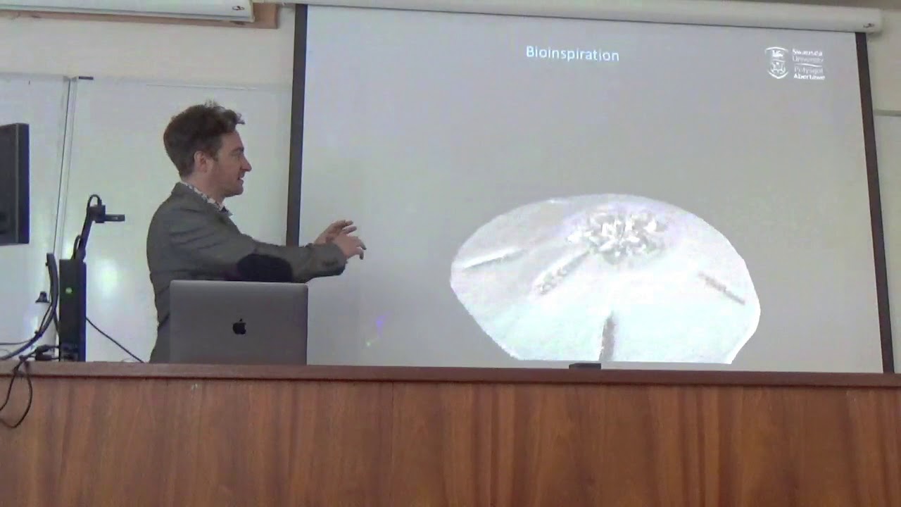 Visualization in Microscopy-Making Sense of the Invisible World in 3D, Capstone by Richard Johnston