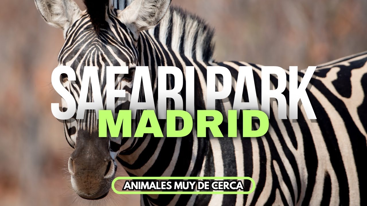 Un día en el SAFARI Park de Aldea del Fresno en Madrid