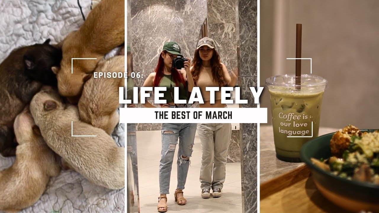 VLOG | Life Lately 🌿 life update, new fur babies, tree climbing, cafes, more doggies