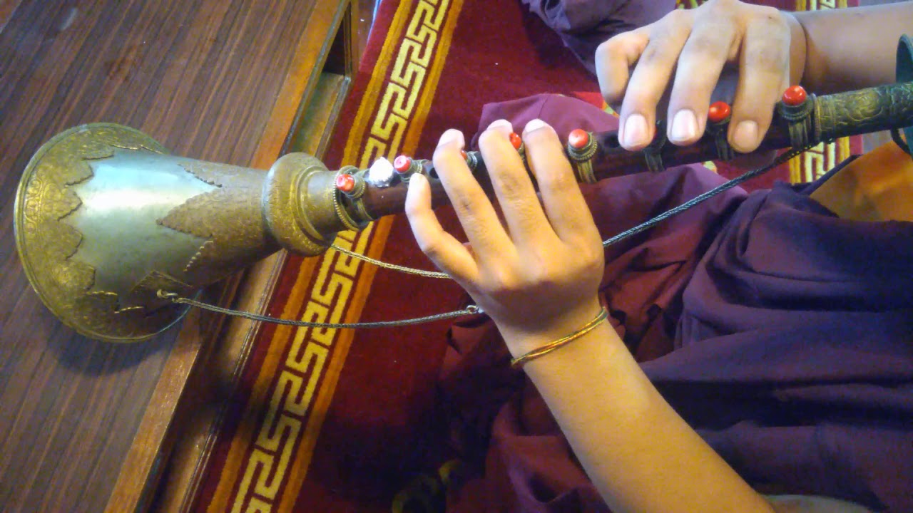 རྩེབས་བདུན་པའི་ལིའུ་༡༥༽ཟངས་མདོགདཔལ་རི་།