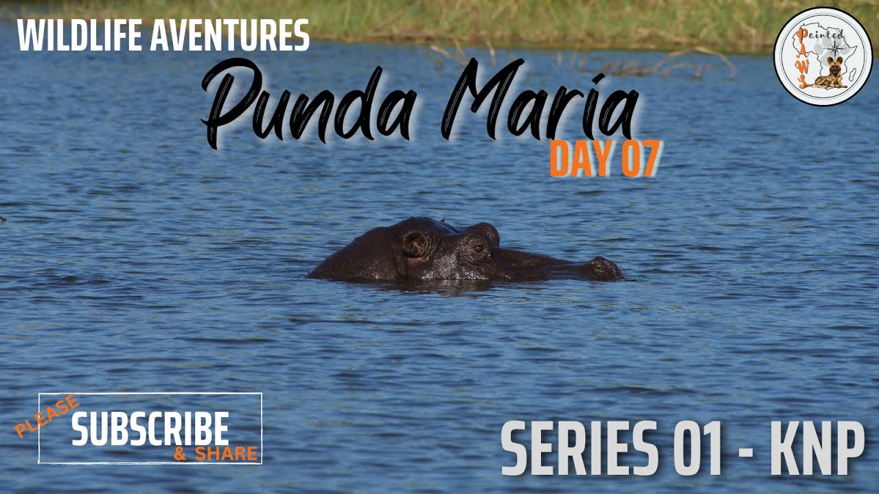 Wildlife, Punda Maria Camp, KNP (Day7) - Northern Kruger Park will make your soul thirst for more