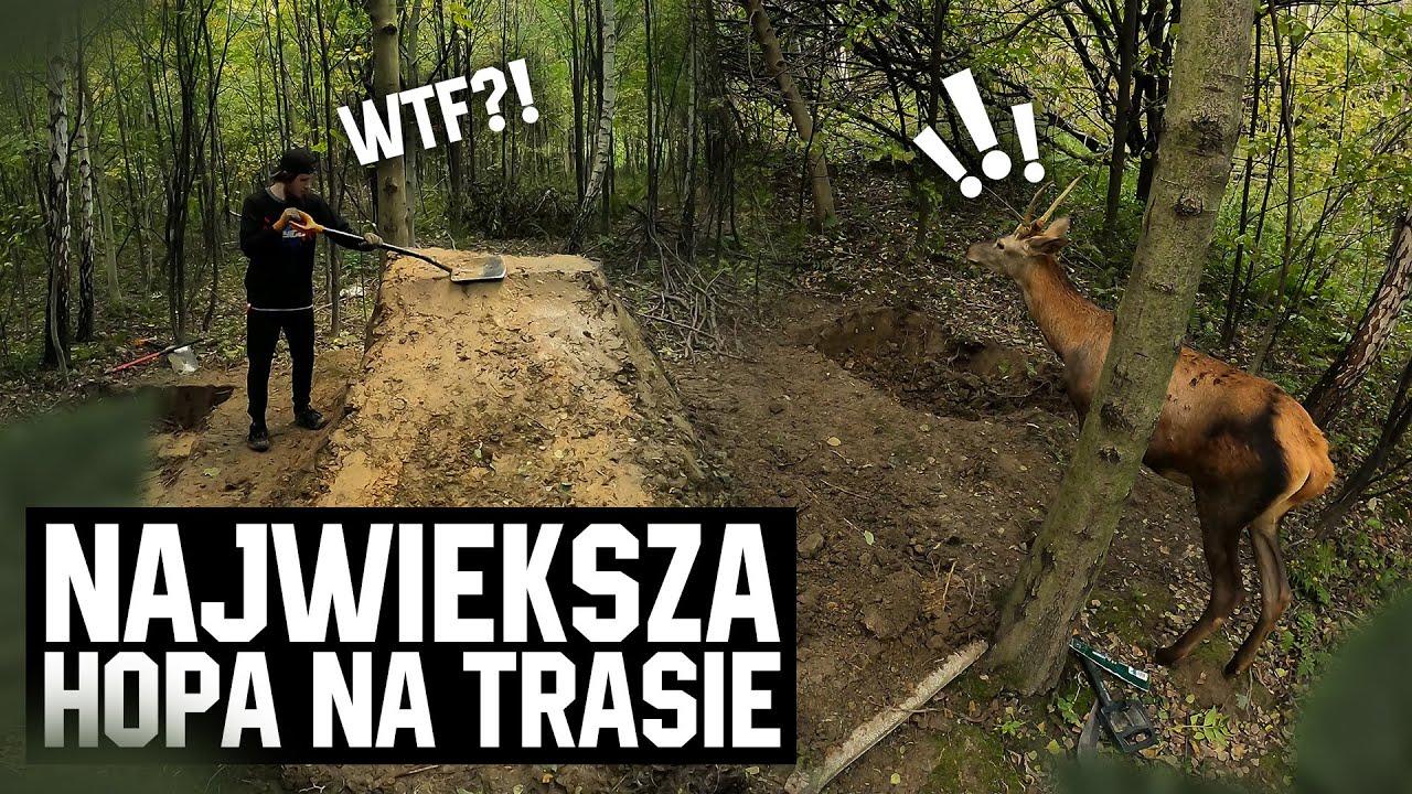Budujemy NAJWIĘKSZĄ hope na spocie! Budujemy trasę MTB #2