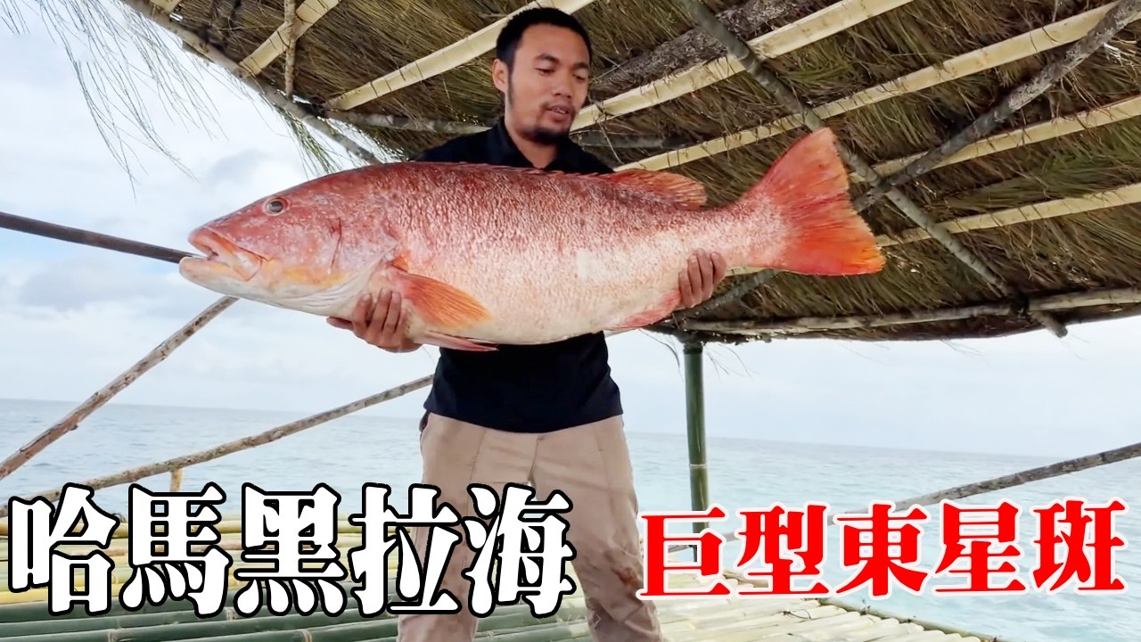 哈馬黑拉海野豬島生存（7-9）！大頭決定出海探索，也釣起超大東星斑！ 【探索兄弟】