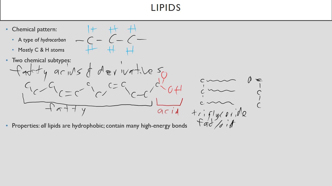 Biochemistry Basics Mini-Lecture