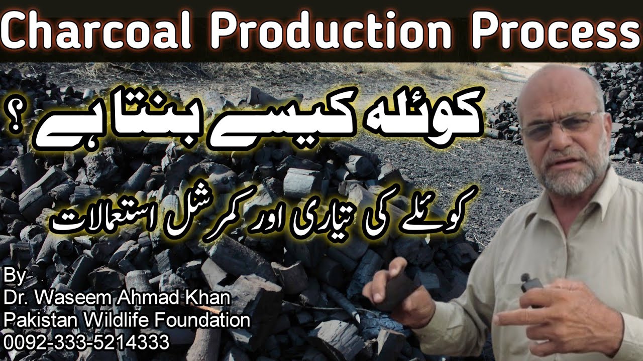 How is Charcoal Made | Koila Kaisay Banta Hai | Commercial Uses of Charcoal | Charcoal Business Idea