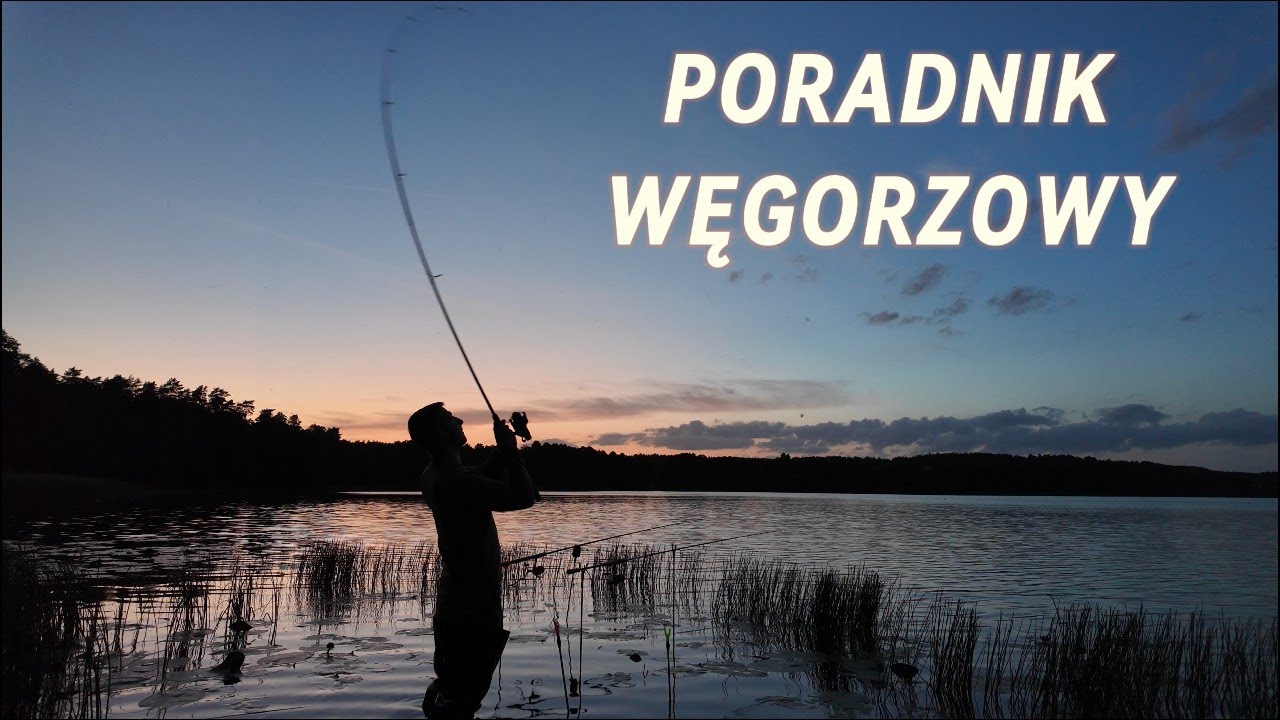 TANI prosty i skuteczny sposób na WĘGORZE- jak i gdzie je łowić?