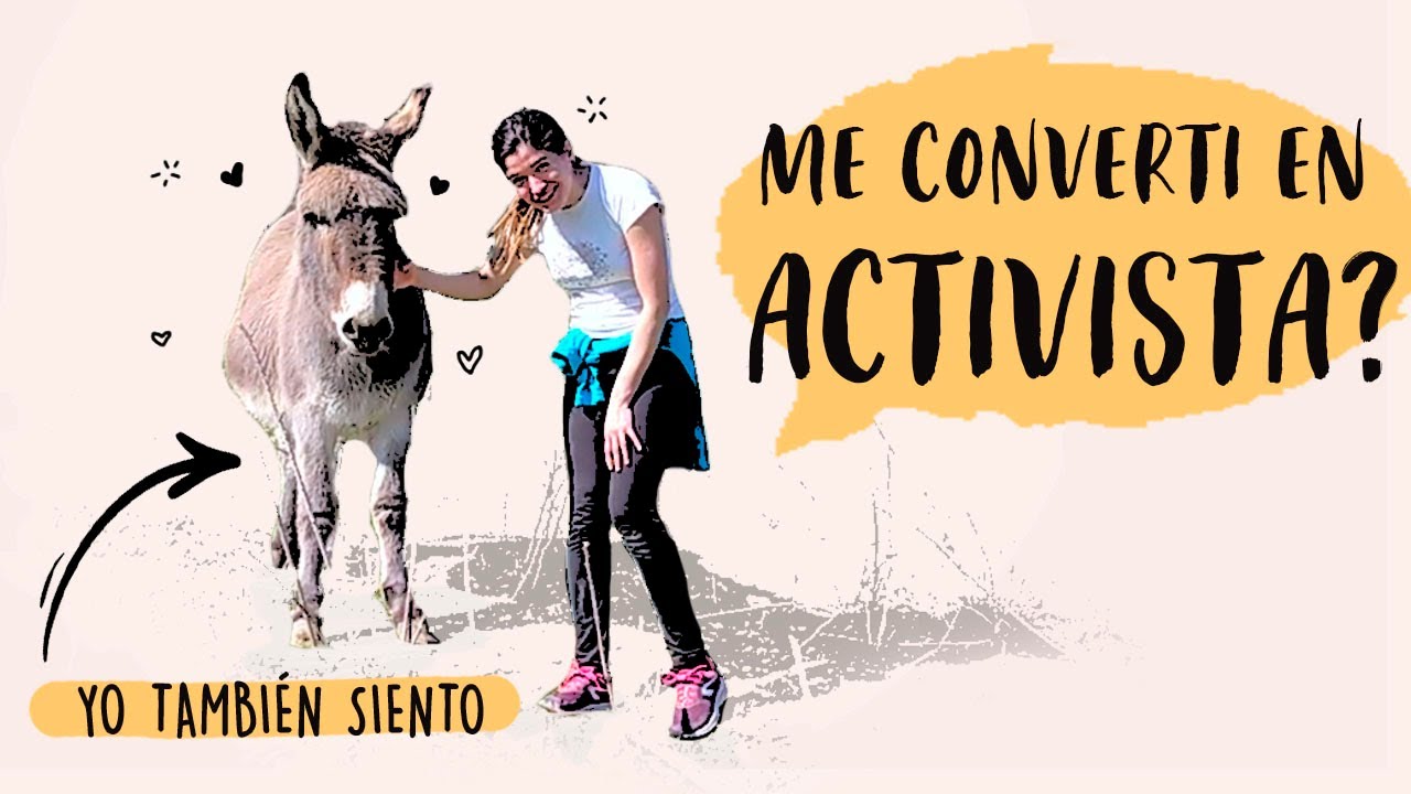 Vale la pena ir de voluntario a un SANTUARIO ANIMAL?