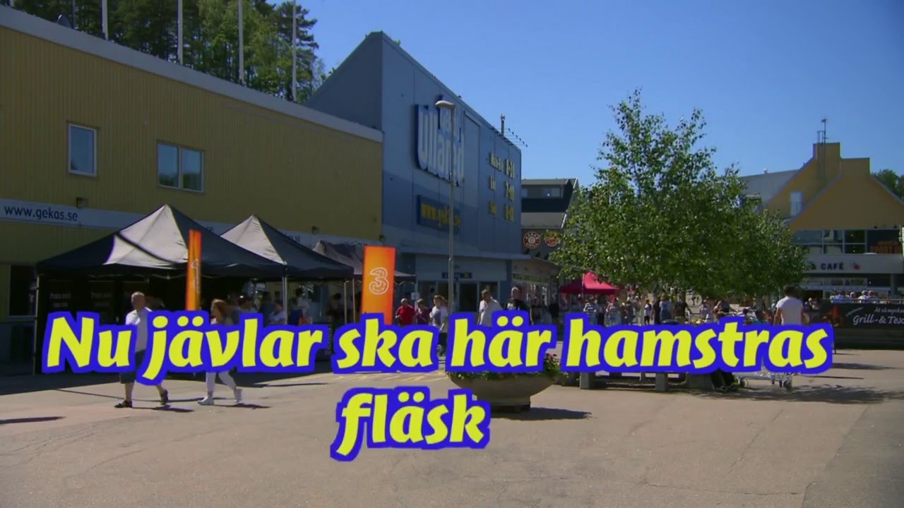 !Gunnel och Maritta i jakten p&aring; fl&auml;sk!