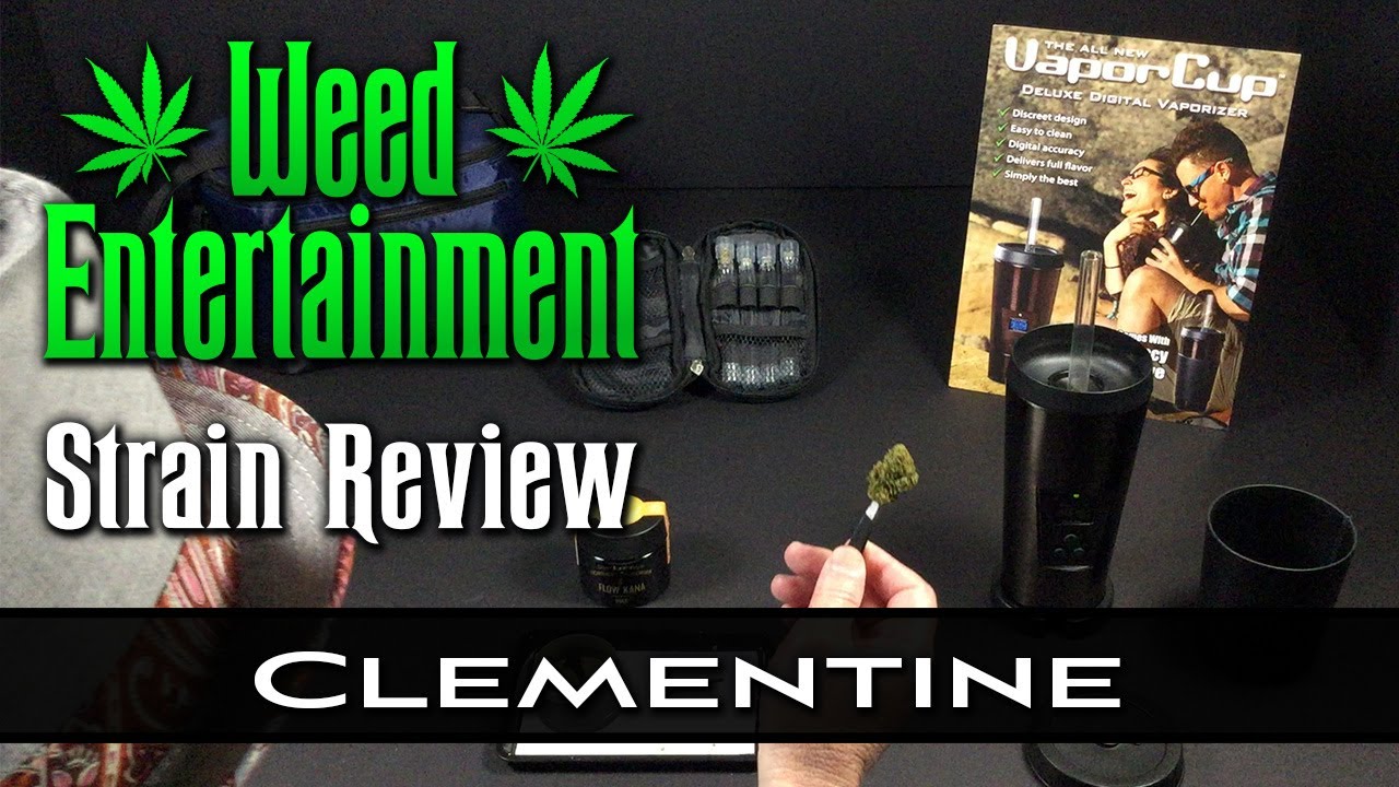 Clementine - Sativa Hybrid - by Flow Kana Gold - Strain Review - from Buds & Roses, Studio City, Ca