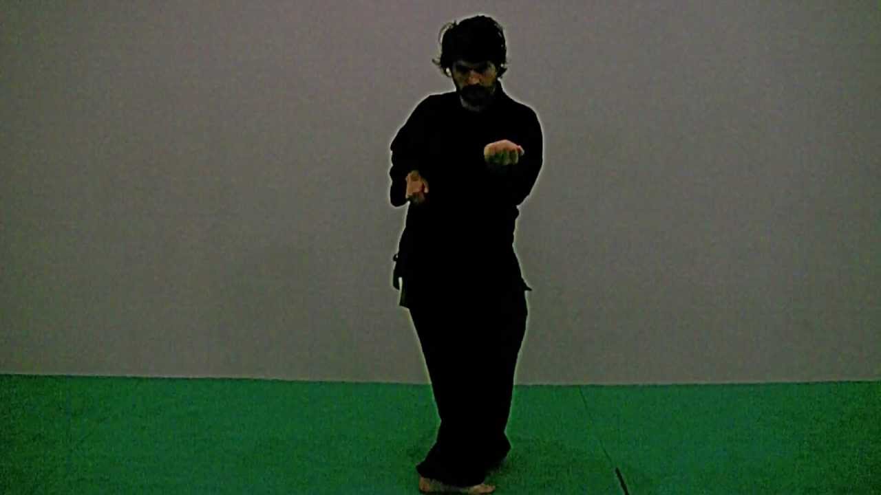 YI JIN JING REN HUA
