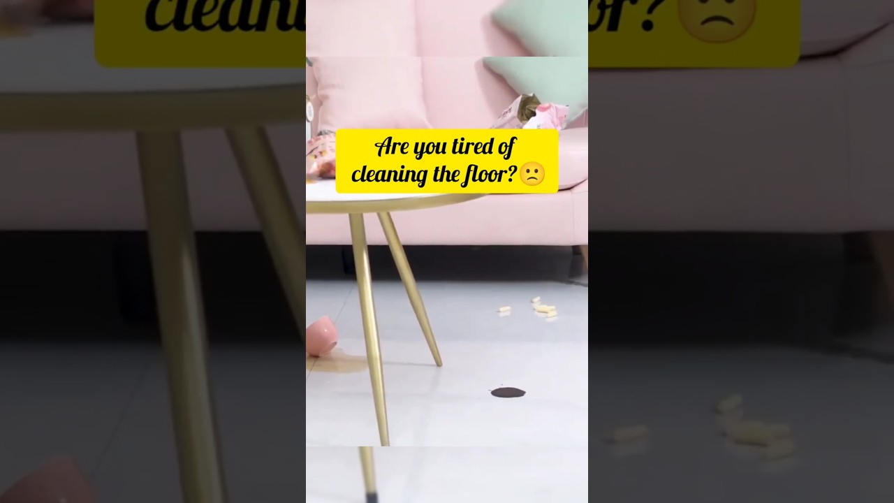 Say Goodbye to Pet Hair and Dust 