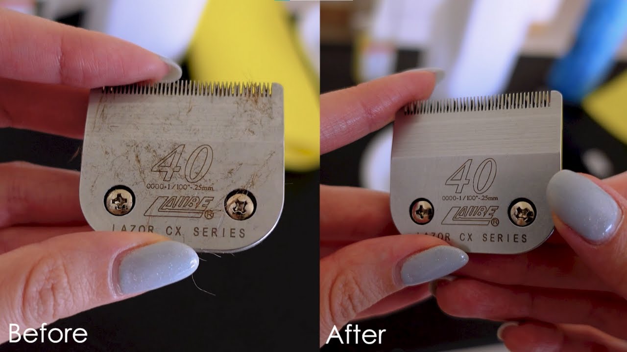 How to clean your clipper blades - 5 easy steps