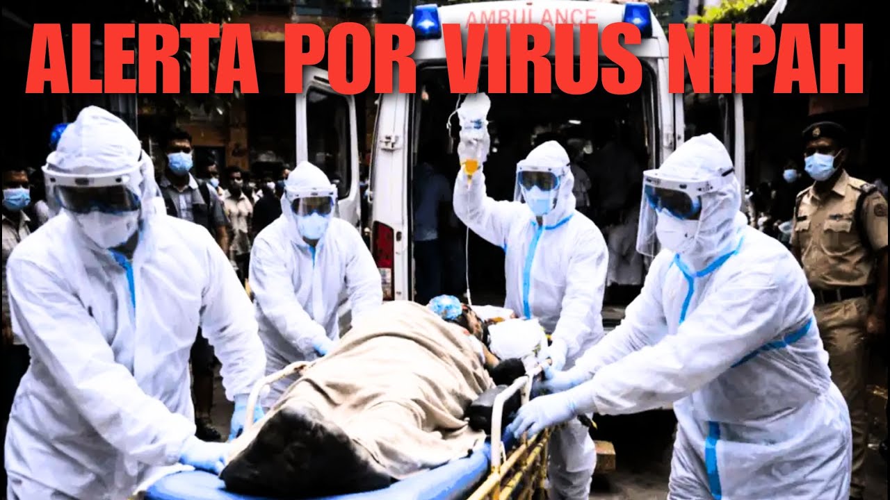 ¿ALERTA MUNDIAL por EL VIRUS de NIPAH? Es MÁS LETAL que EL COVID 19