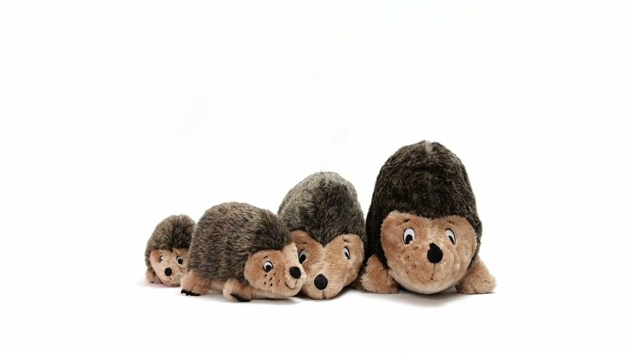 Amazon Best Deal🎀💥💥Outward Hound Hedgehogz Plush Dog Toy, Small