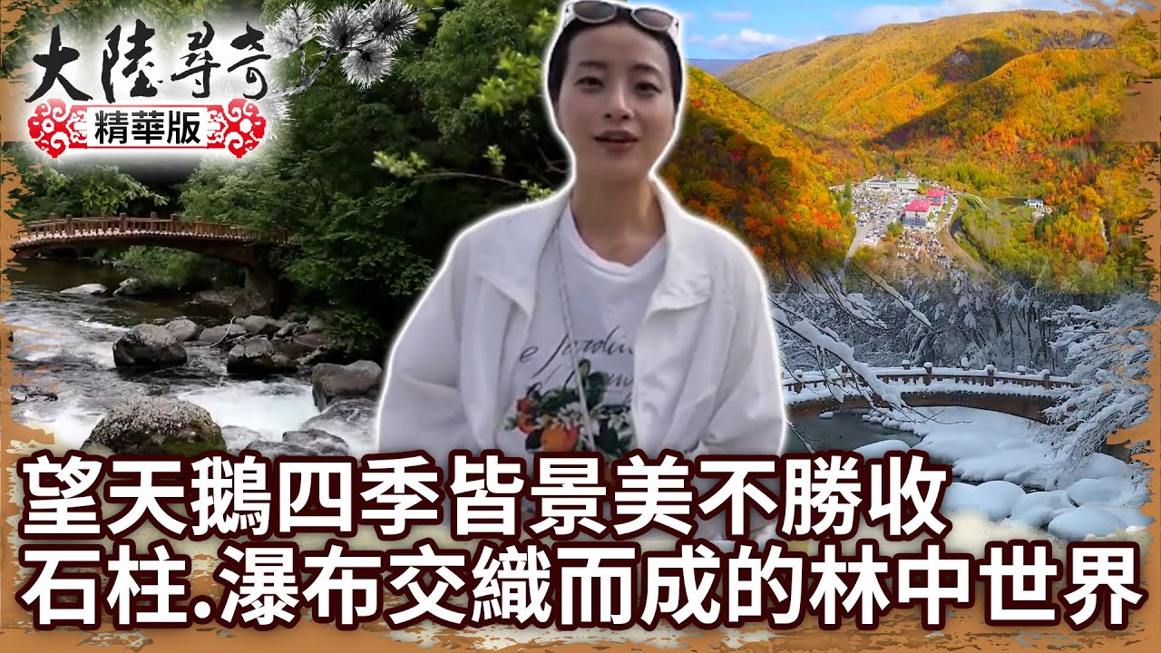 望天鵝四季皆景美不勝收 石柱、瀑布交織而成的林中世界【@ctvchinatvEP1921】