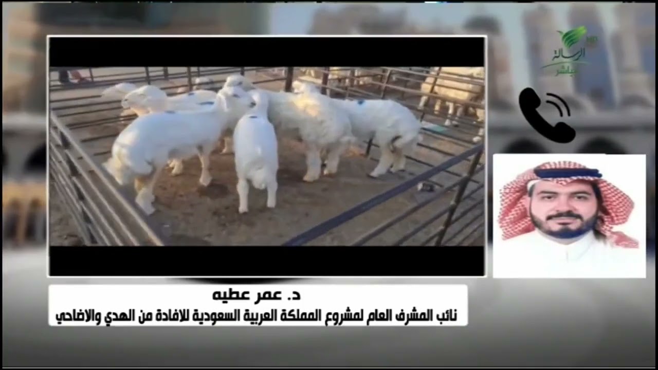 البنك الإسلامي للتنمية يتخصص في ذبح الهدي والأضاحي #بسلام_آمنين