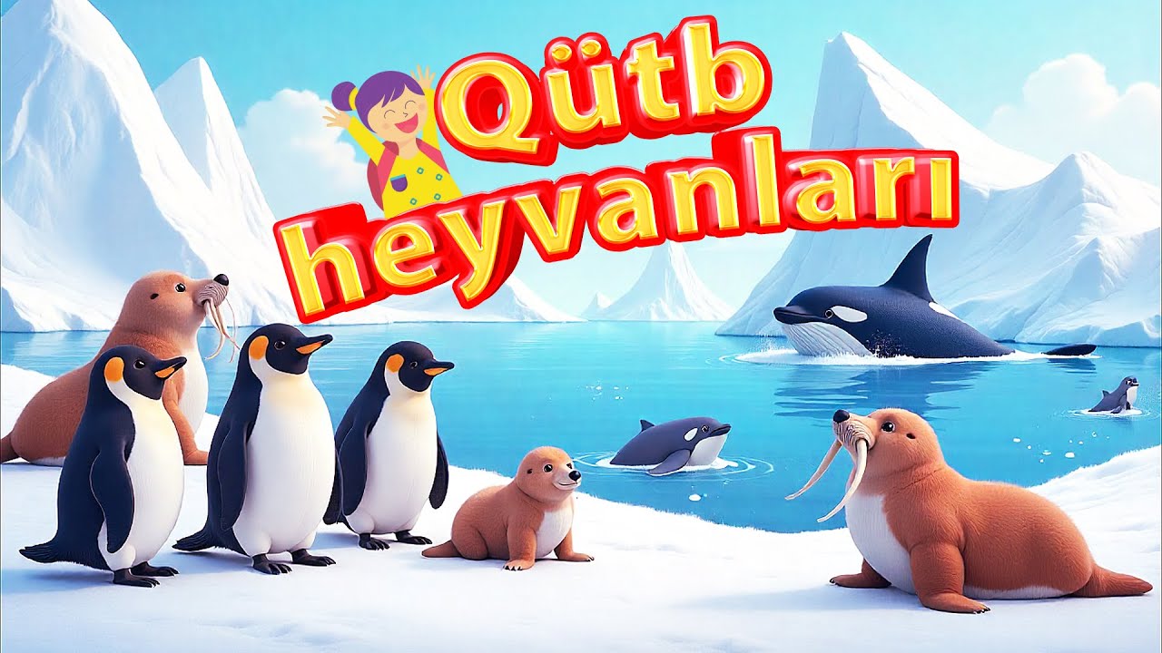 ❄️Q&uuml;tblərdə və Antarktidada Yaşayan Heyvanlar &ndash; Uşaqlar &uuml;&ccedil;&uuml;n Əyləncəli və &Ouml;yrədici Video🤩