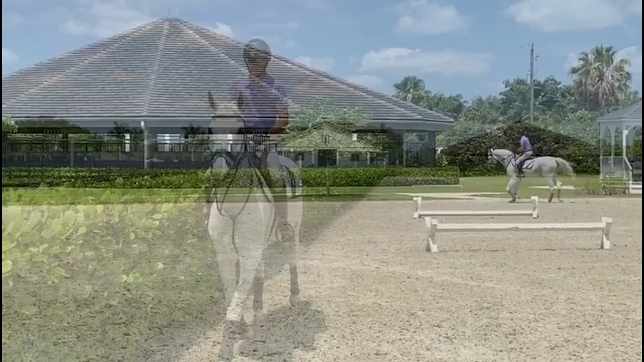At Home with Glenbeigh Farm | Shoulder Fore | Show Jumping Training Tips