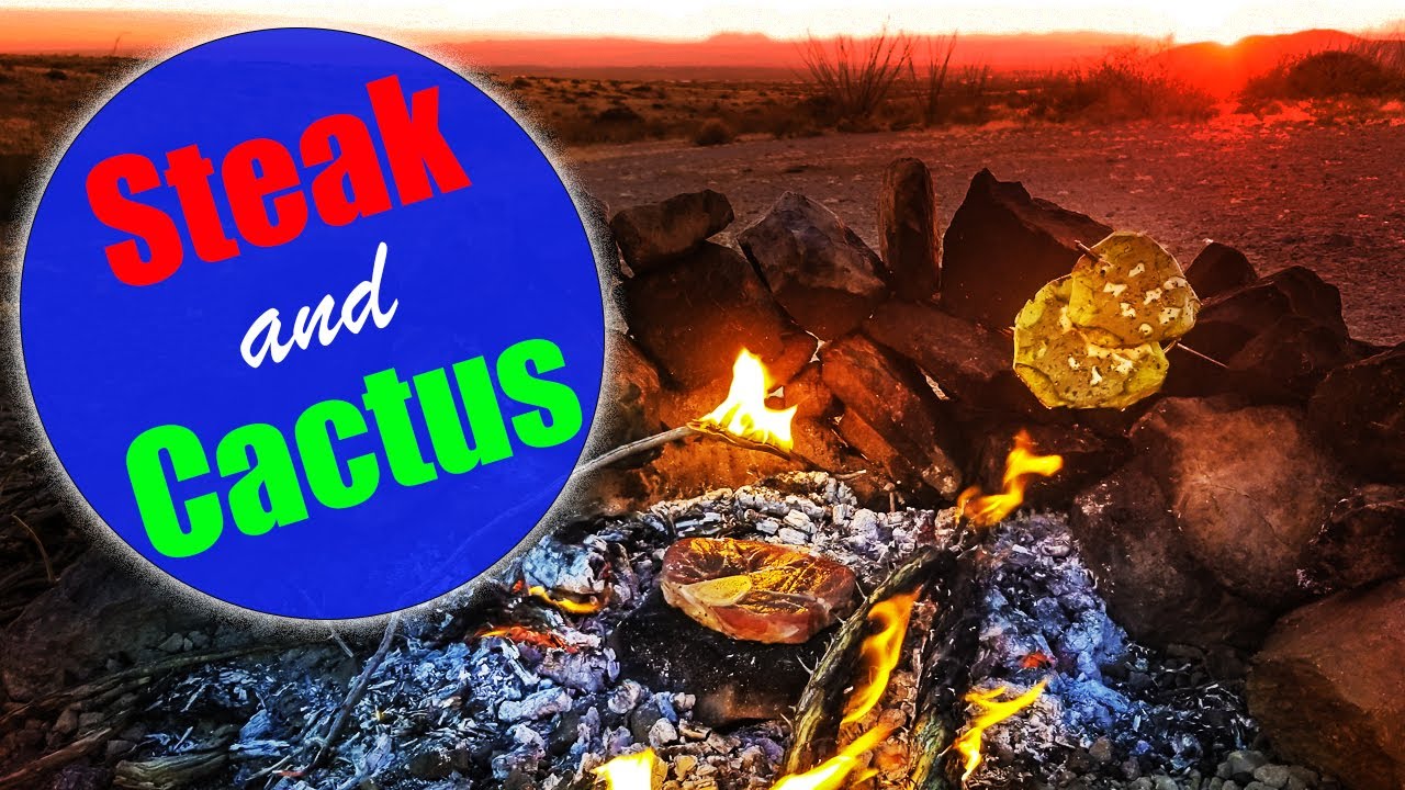 Steak and Cactus | A savage day in the life of a nomad photographer living out of a Toyota 4Runner