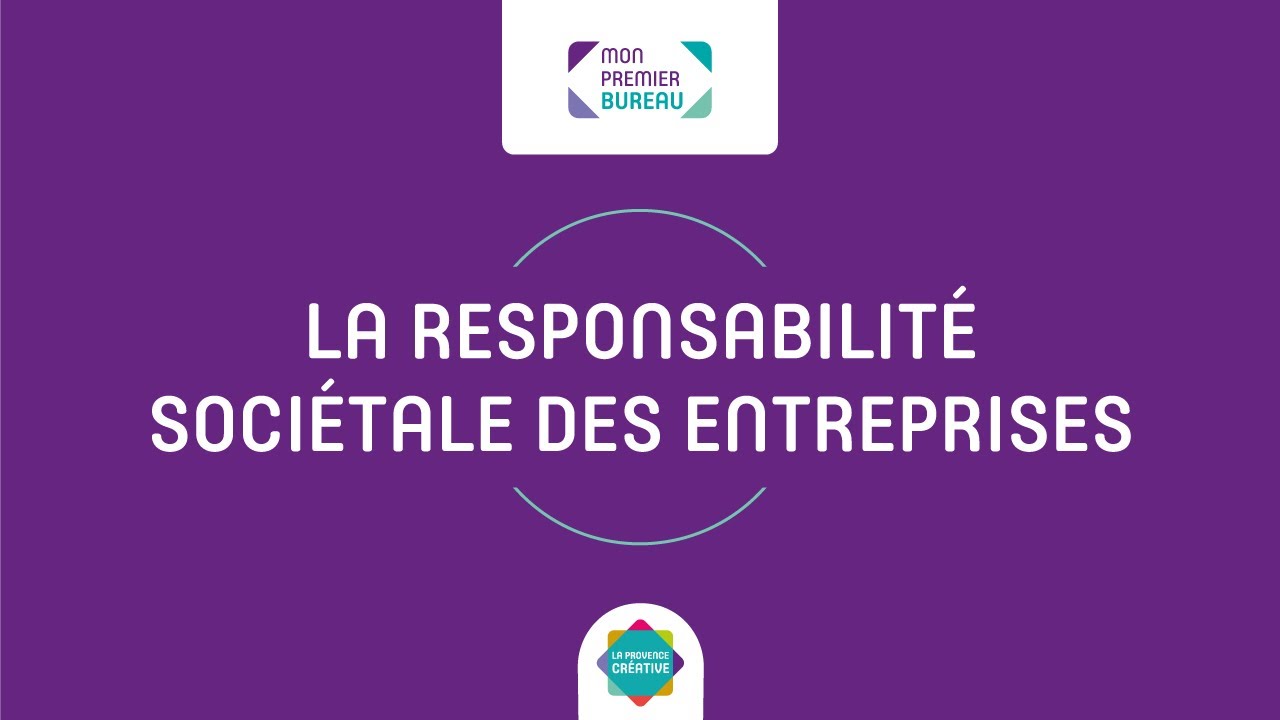 La Responsabilité Sociétale des Entreprises (RSE)