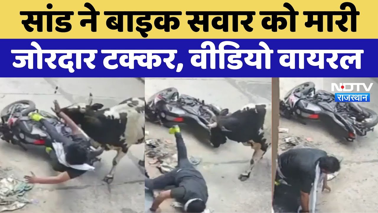 Pilani Bull Attack: सांड ने बाइक सवार को मारी जोरदार टक्कर, युवक उछलकर नाली में गिरा | Video Viral