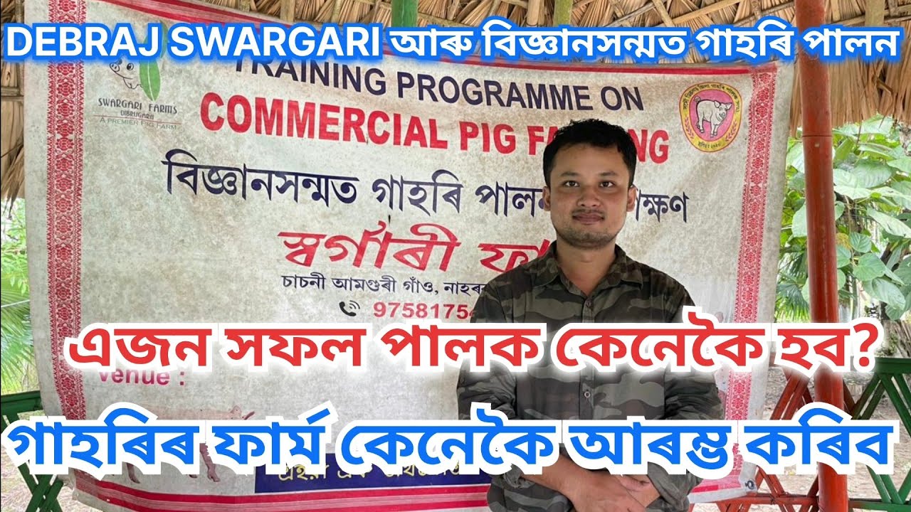 সফল গাহৰিপালকDebraj Swargariয়ে কেনেকৈ কৰিছে#pig farming.How to start a Pigfarm। successful pigfarm