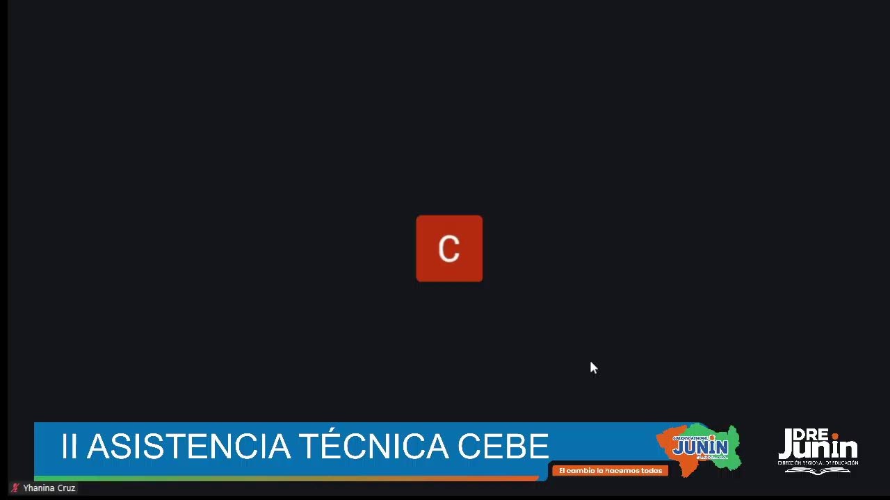 II ASISTENCIA TÉCNICA CEBE