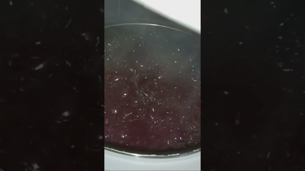 Nasi Hitam / Nasi Purple #nasi #nasihitam #nasihat #asmr #asnr