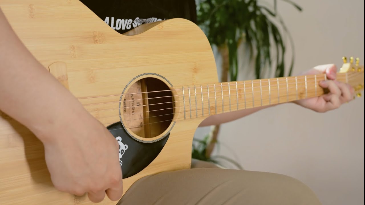 Bamboo, a good material for acoustic guitars?