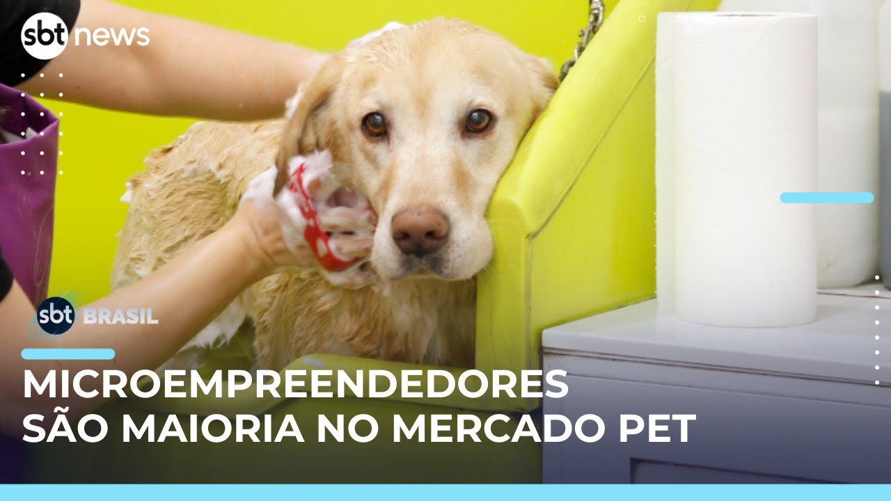 Mercado pet cresce e microempreendedores dominam setor com novidades em S&atilde;o Paulo | #SBTBrasil