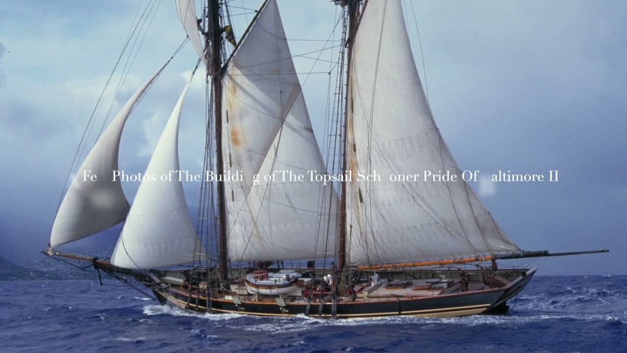 The Building Of Topsail Schooner Pride Of Baltimore ll by Bill McAllen