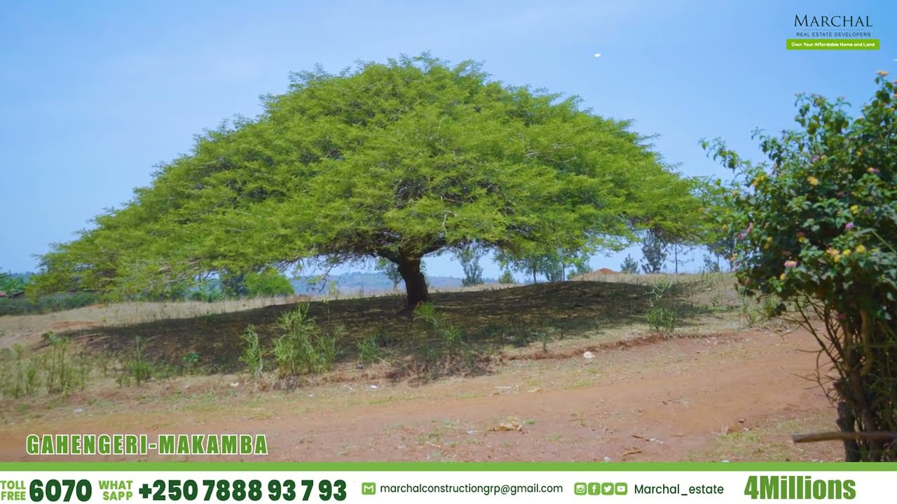 #IBIBANZA Biherereye RWAMAGANA - GAHENGERI mu MITURIRE BIGURISHWA | Kuri Miliyoni 4 Wabona #IKIBANZA