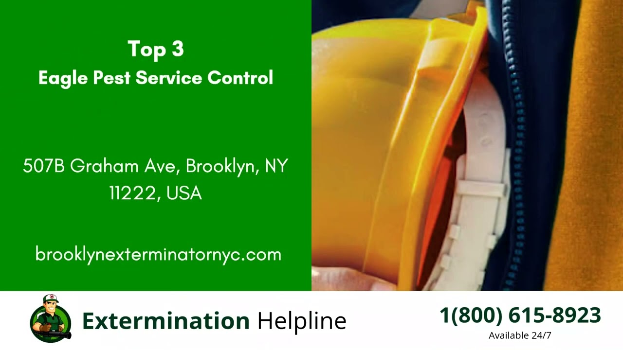 Top 3 Exterminators in Eagle Pass