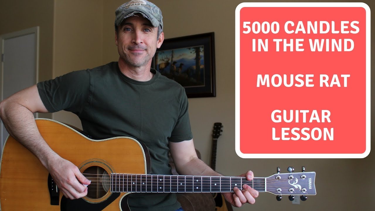 5000 Candles In The Wind - Mouse Rat | Guitar Lesson