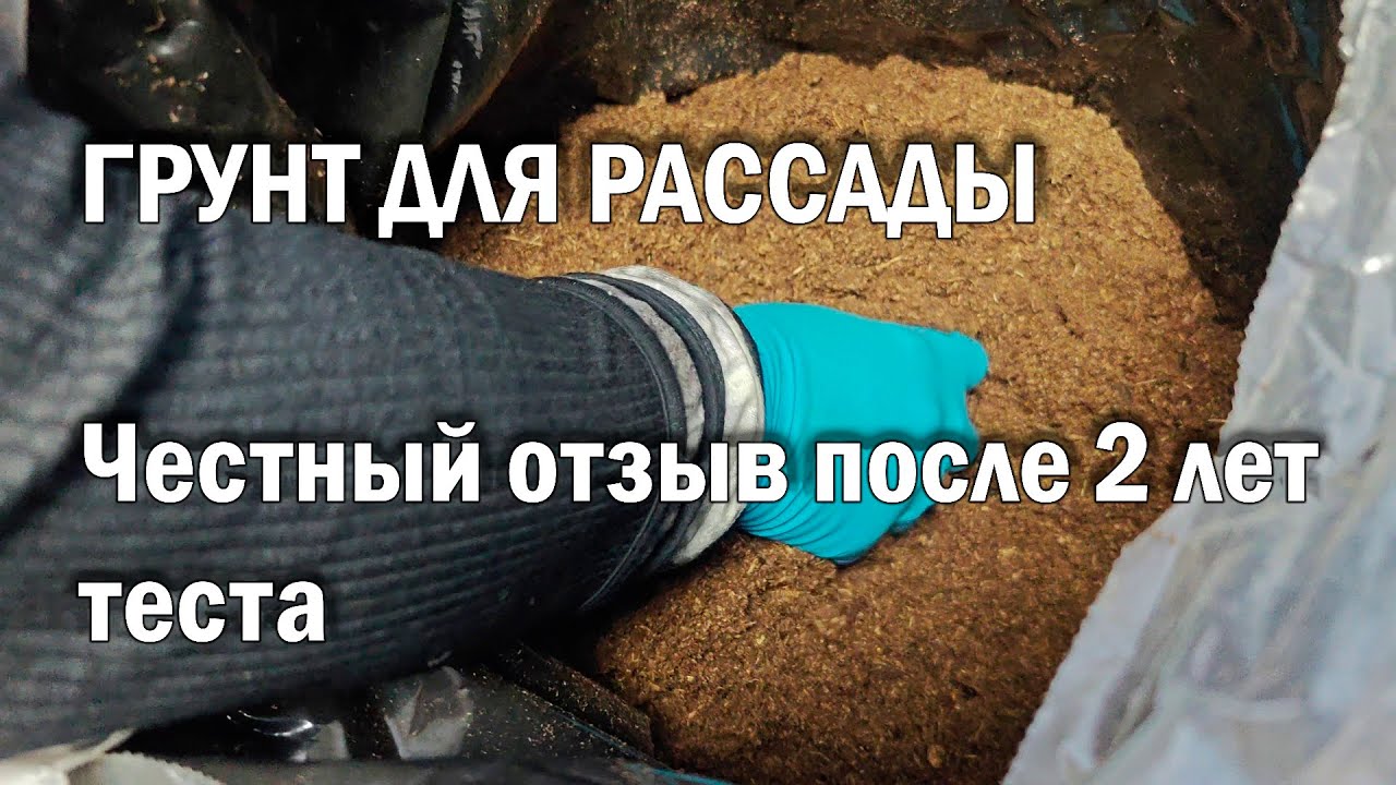 ГРУНТ ДЛЯ РАССАДЫ: Мой честный опыт!