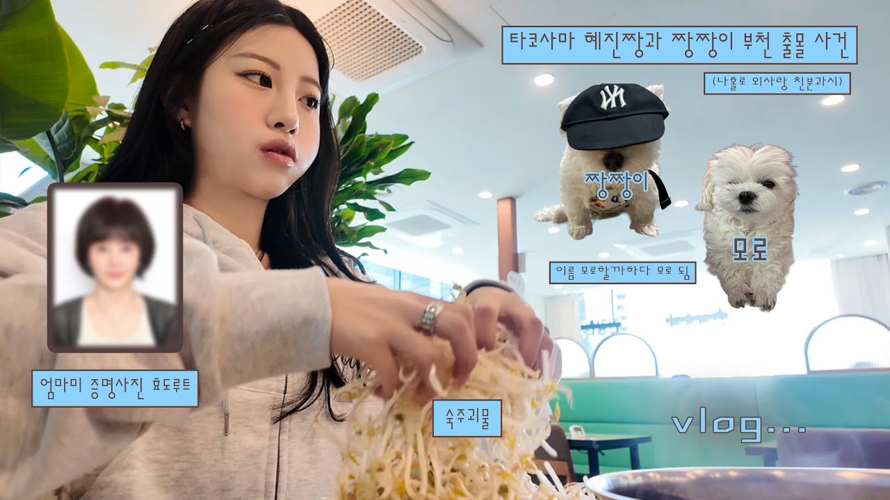 돌아온 브이로그 • 엄마미 60세 기념 증명사진 효도 • 혜진언니 부천 상동호수공원 강매•짱짱이와 모로의 기싸움•택배깡•말티즈짱•샤브샤브에 빠졌어요!•강남 샤브지오 강추•머리 깎음