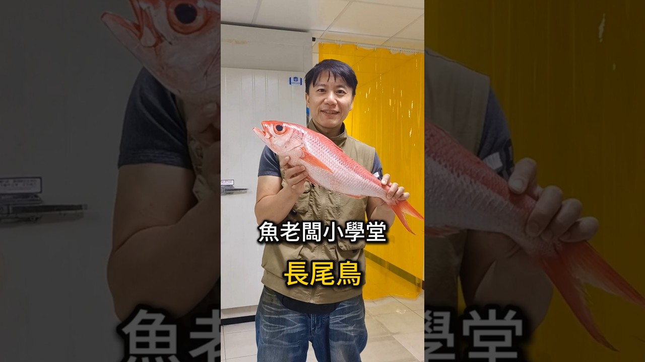 結婚場高級魚種之一