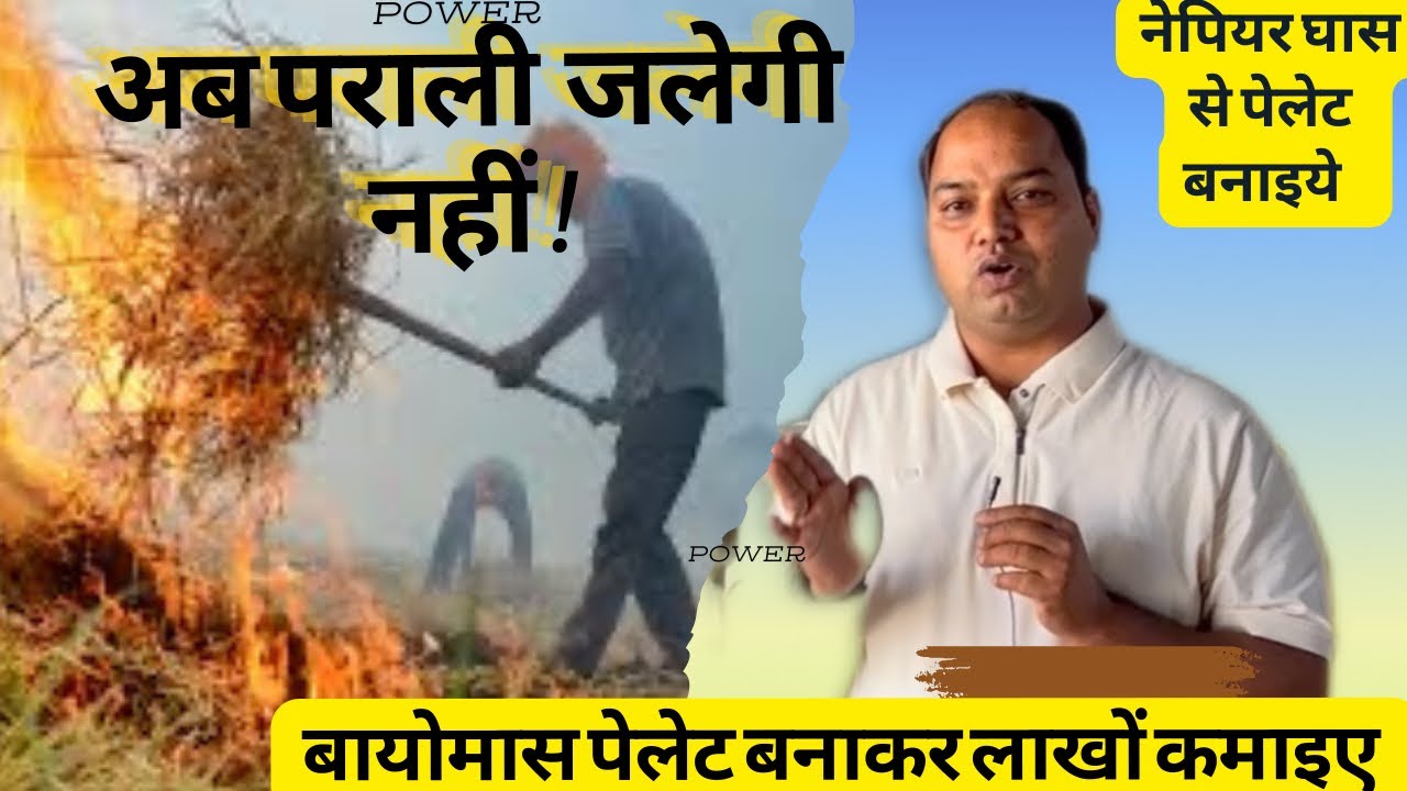 Biomass Pellet Plant from Parali , Napier Grass | Rice Straw / Husk/ Mustard | बायोमास पेलेट प्लांट