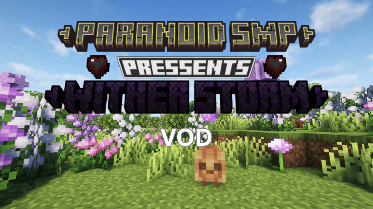 Paranoid SMP Prank Cleanup + Sunny Hyjinx VOD