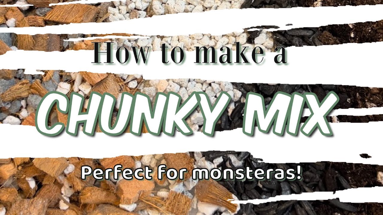How to make a chunky mix | airy mix | monstera plants